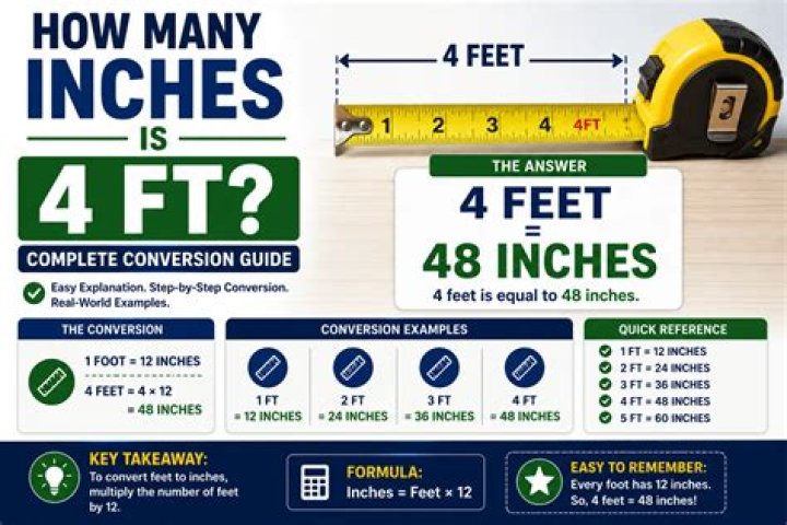 How High is 48 Inches? A Comprehensive Guide to Understanding Measurements