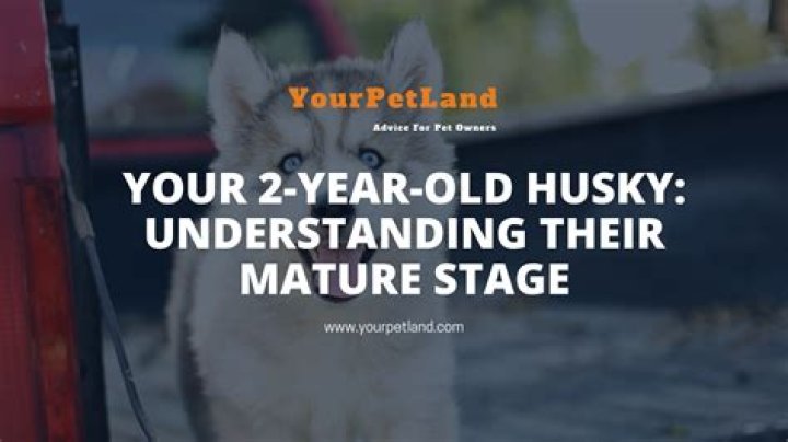 How Old is Deeurvivor? A Comprehensive Guide to Understanding Their Age and Journey