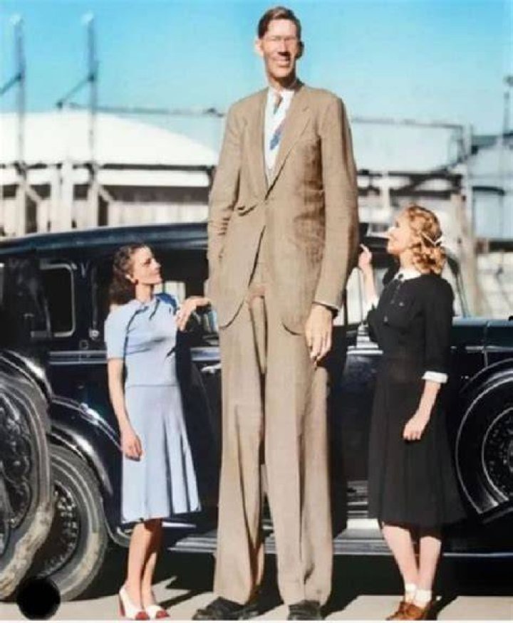 How Tall Was the Tallest Person? Discover the Fascinating Story Behind the World's Tallest Human