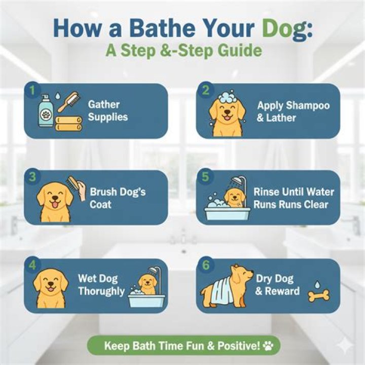 How to Make Aling for Your Dog: A Step-by-Step Guide