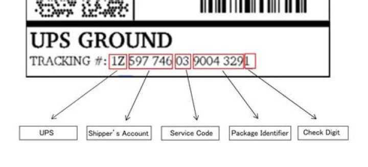 How to Use UPS Tracking Number and Phone Number for Efficient Package Monitoring