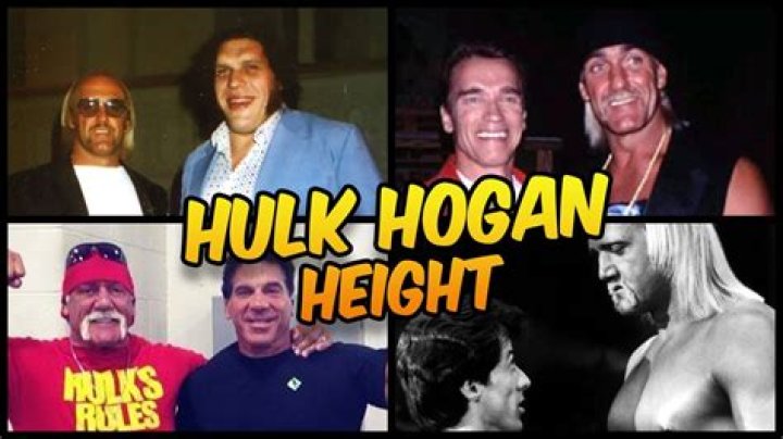 Hulk Hogan Height and Weight: A Comprehensive Look at the Iconic Wrestler's Measurements