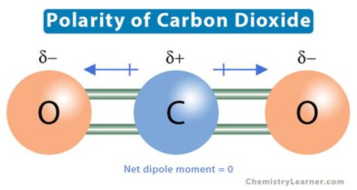 Is Carbon Dioxide a Polar Molecule? A Comprehensive Guide to Understanding CO2 Polarity