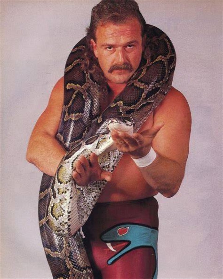 Jake the Snake Roberts: The Iconic Wrestler's Journey and Legacy
