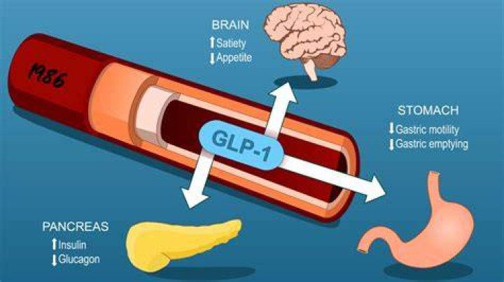 Lemme GLP-1: Unlocking the Potential of a Revolutionary Diabetes Treatment