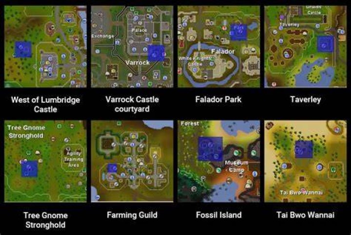 Mastering OSRS Fruit Tree Patch: A Comprehensive Guide