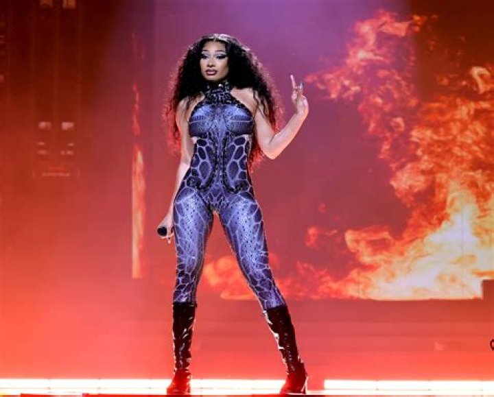 Megan Thee Stallion Costume Ideas: Unleash Your Inner Hot Girl