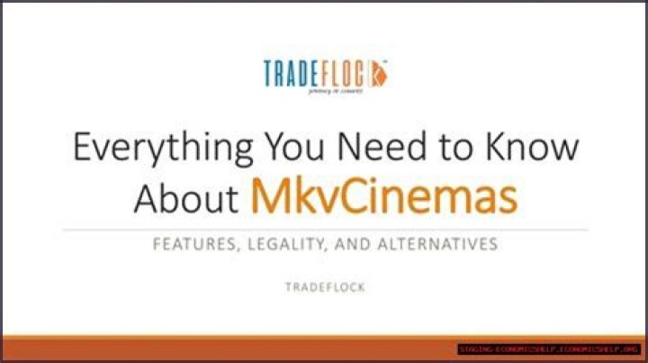 MKVCinemas South: The Ultimate Guide to Your Paradise
