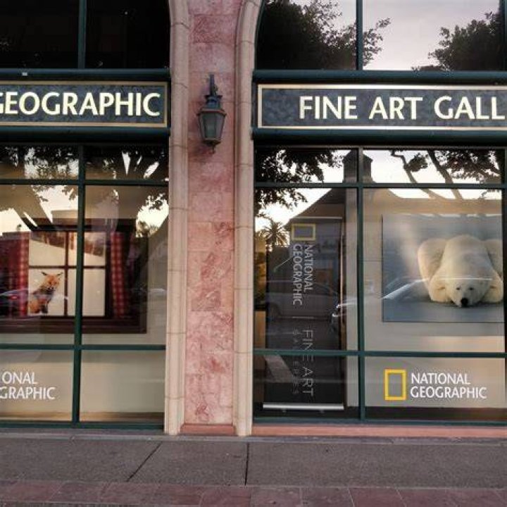 National Gallery of Fine Art La Jolla: A Comprehensive Exploration of Art and Culture