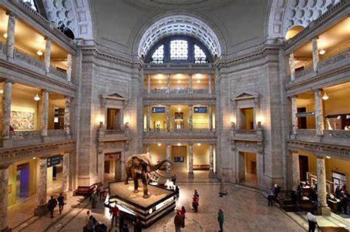 National Museum of Natural History Washington DC Hours: A Comprehensive Guide