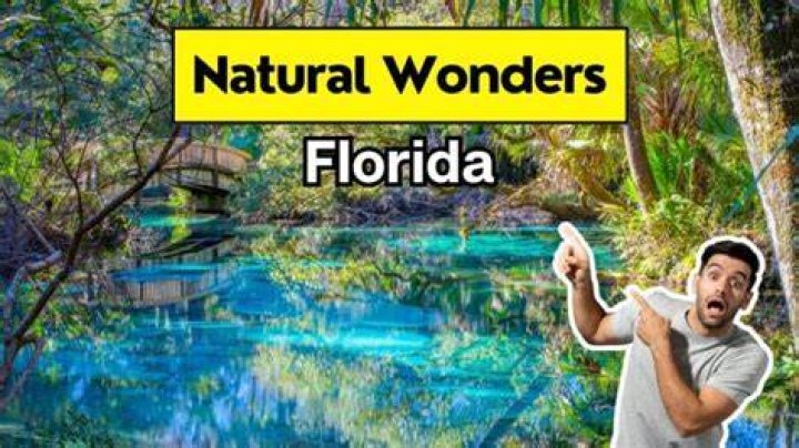 Nature Things to Do in Florida: A Guide to Discovering the Sunshine State's Natural Wonders