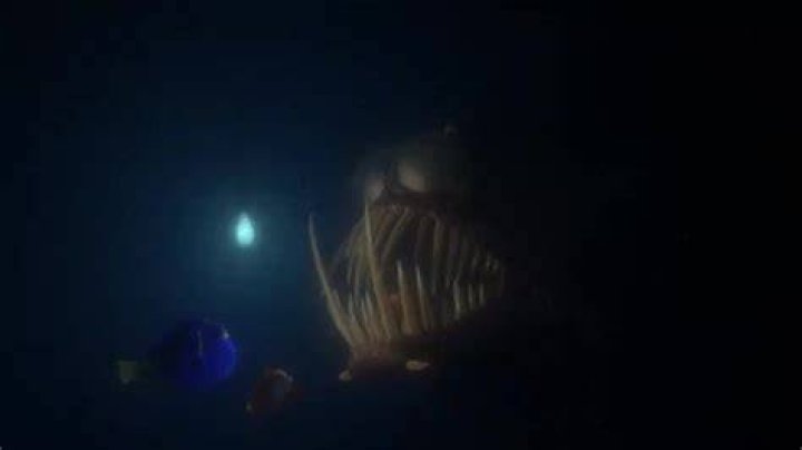 Nemo Anglerfish: The Depths of the Ocean's Mystical Creature