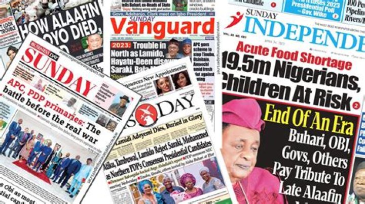 Nigerian Dailies Read Them: A Comprehensive Guide to Nigeria's Popular Newspapers