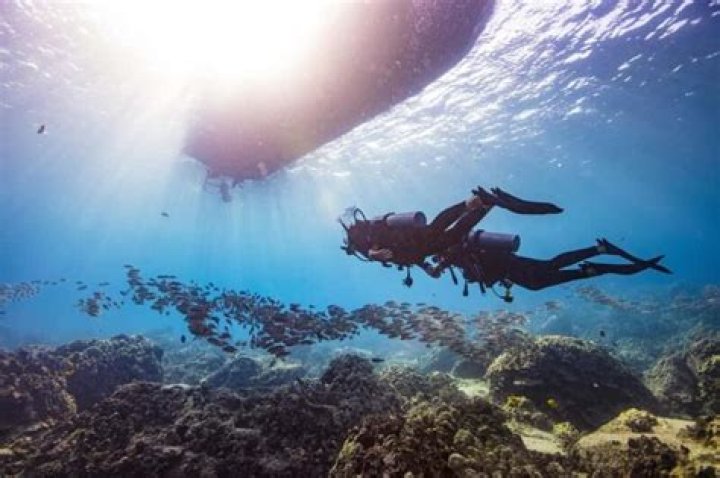 Nude Dive: Exploring the Unique Experience of Underwater Clothing-Free Adventures