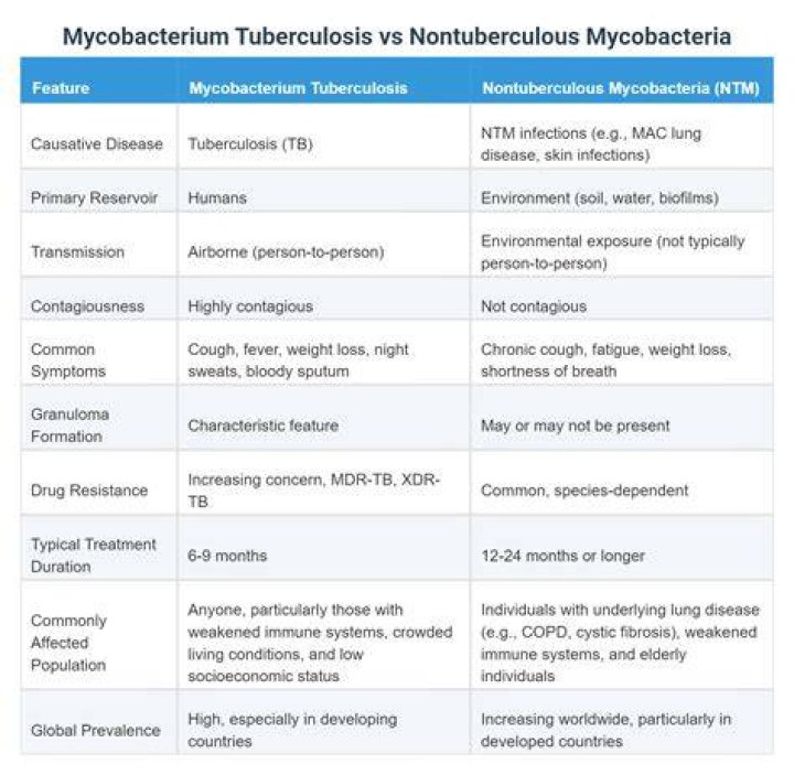 Nyi vs TB: Understanding the Differences and Implications for Health
