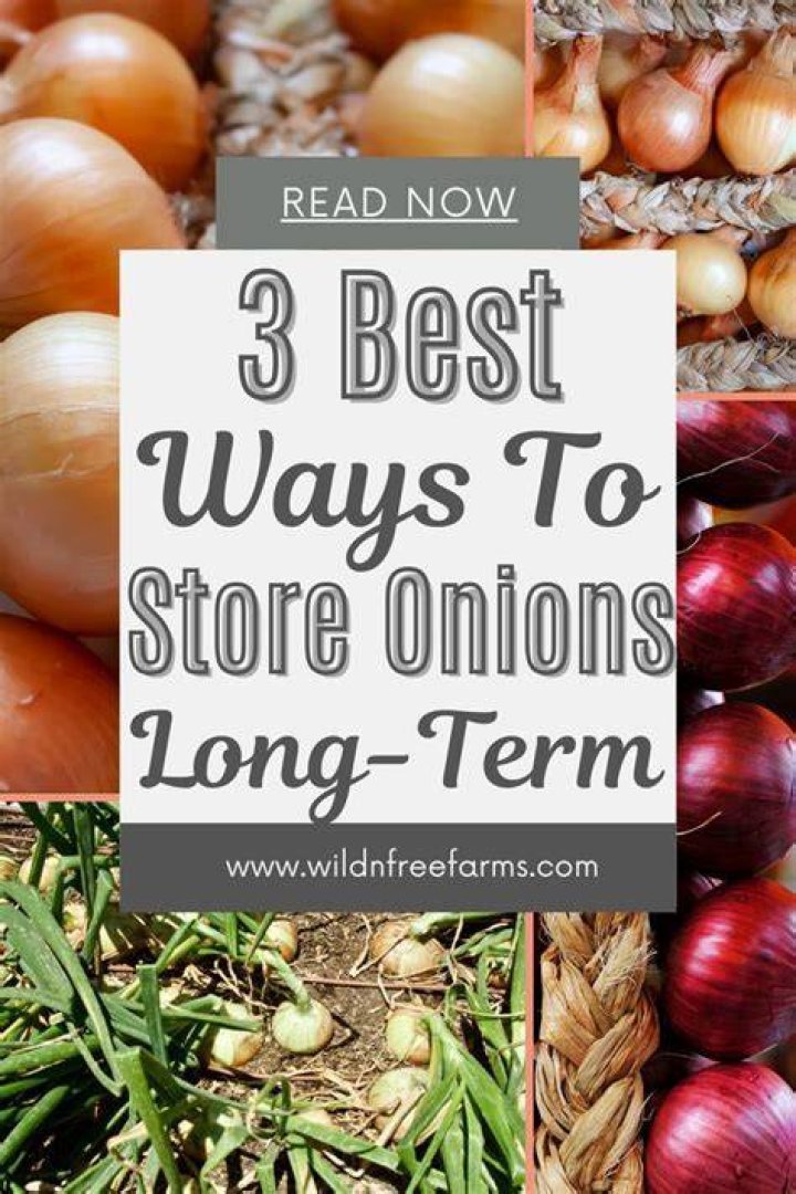Onions as a Cold Remedy: The Ultimate Guide to Healing Naturally