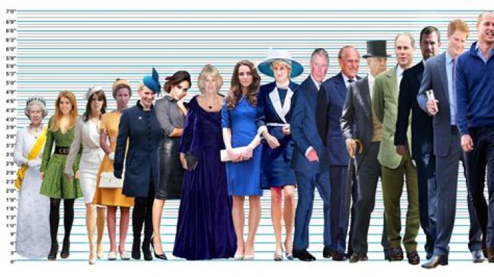 Prince's Height: Unveiling the Royal Measurement