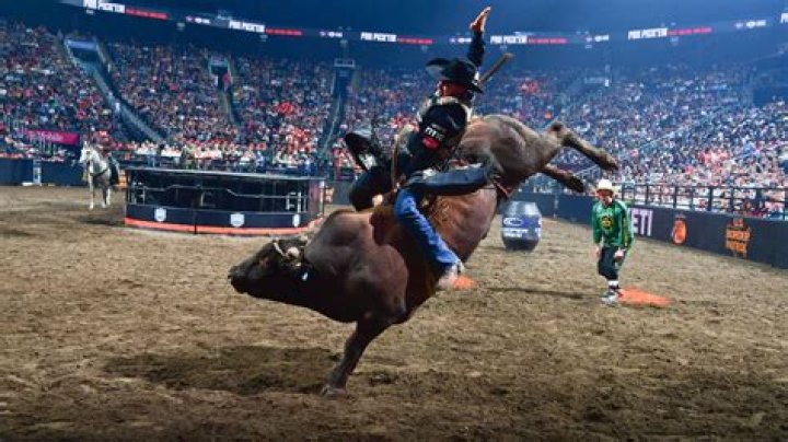 Professional Bull Riders Earnings: Unveiling the Thrilling World of Bull Riding Finance