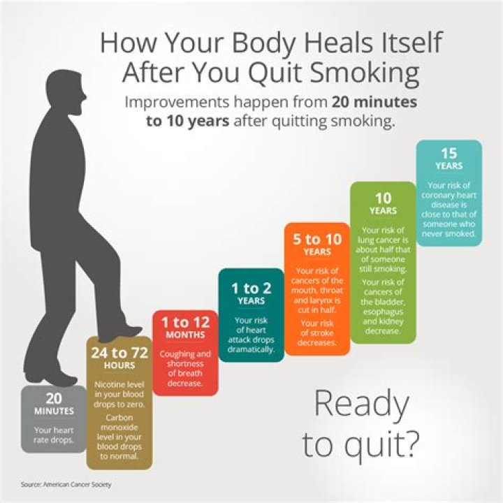 Quitt.net: Revolutionizing the Way You Quit Smoking