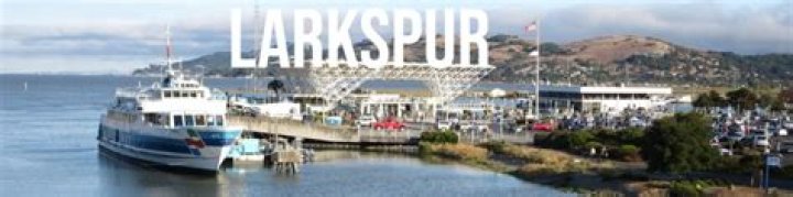 San Francisco Ferry Schedule Larkspur: Your Ultimate Guide to Navigating the Bay