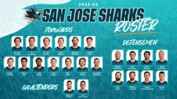 San Jose Sharks 2016 Roster: A Comprehensive Guide to the Team's Lineup