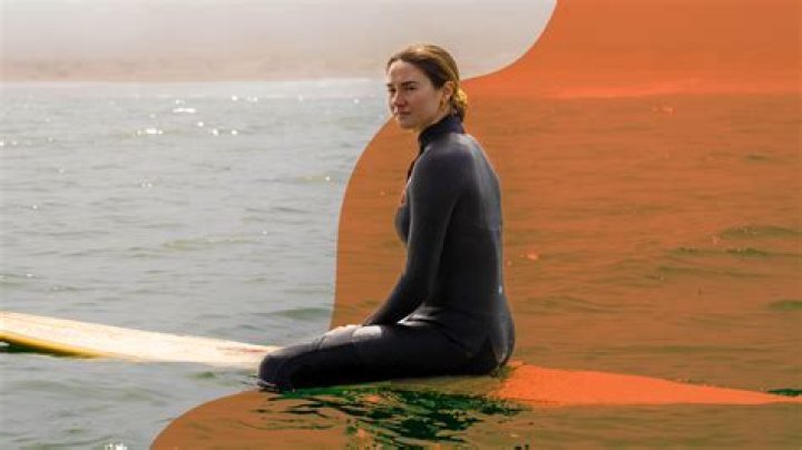 Shailene Woodley: Rising Star in Hollywood with a Passion for Activism