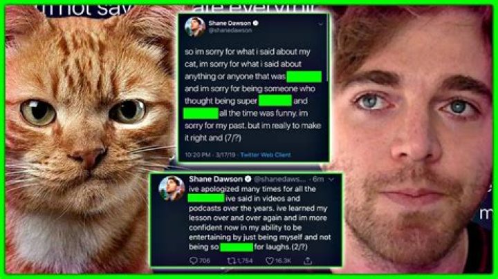 Shane Dawson Cat Apology: A Comprehensive Look at the Controversy and Its Aftermath