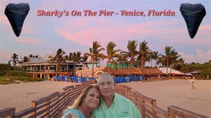 Sharky's Beach Venice FL: The Ultimate Guide to a Memorable Experience