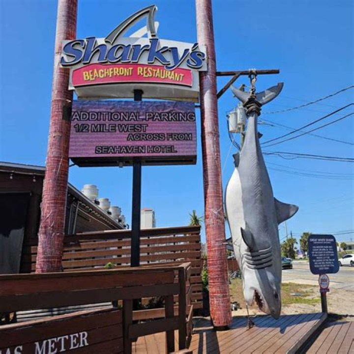 Sharky's Florida: Your Ultimate Guide to Adventure and Excitement