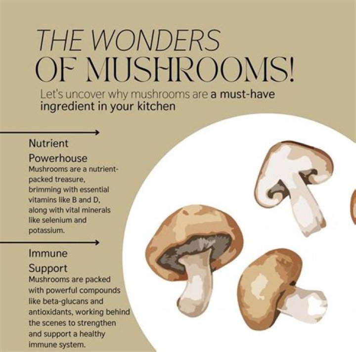 Shiitake Mushroom Nutrients: Unlock the Power of This Superfood