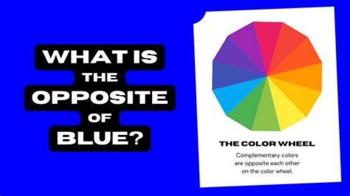 The Fascinating World of Colors: What is the Opposite of Blue?