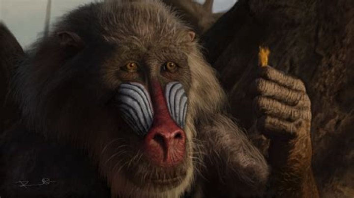 The Monkey in Lion King: Unveiling the Theory Behind Rafiki