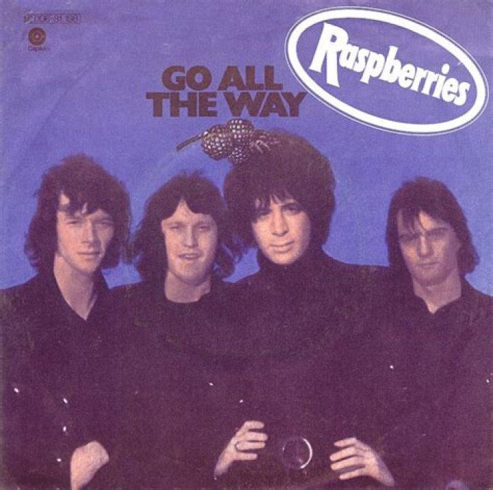 The Raspberries Please Go All the Way: A Deep Dive Into Their Journey and Legacy