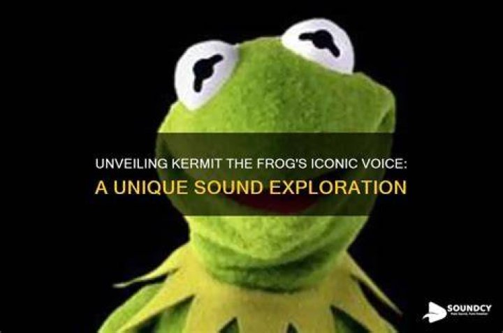 The Voice of Jackkellington: Unveiling the Unique Talent Behind the Iconic Sound