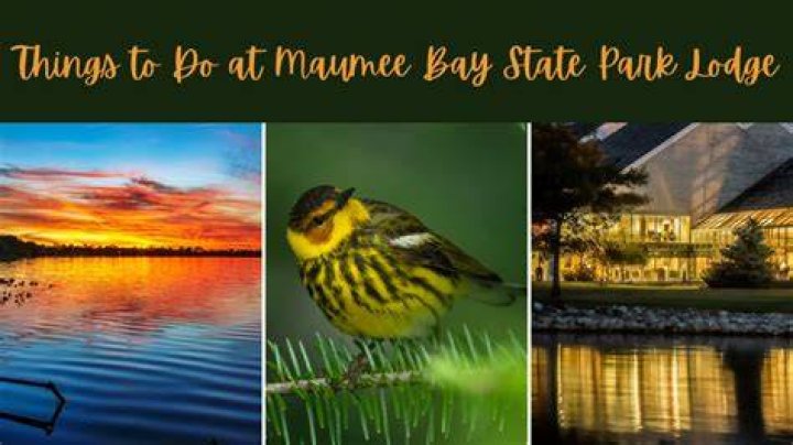 Top Things to Do at Maumee Bay State Park: A Comprehensive Guide