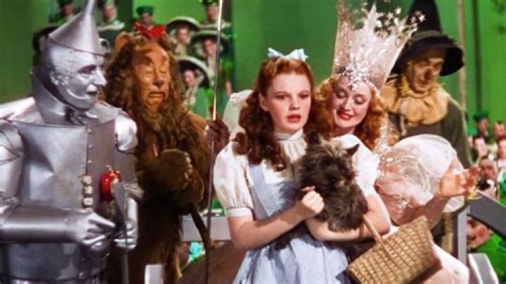 Toto from Dorothy: A Comprehensive Exploration of the Iconic Character