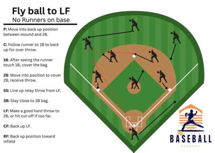 Travellers Baseball: A Comprehensive Guide for Fans and Enthusiasts