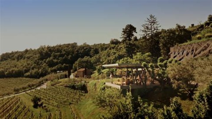 Treetop Winery in Monroe: A Unique Wine Experience Amidst Nature