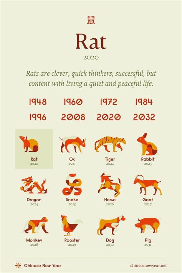 Understanding Rat Chinese Zodiac Enemy: A Comprehensive Guide