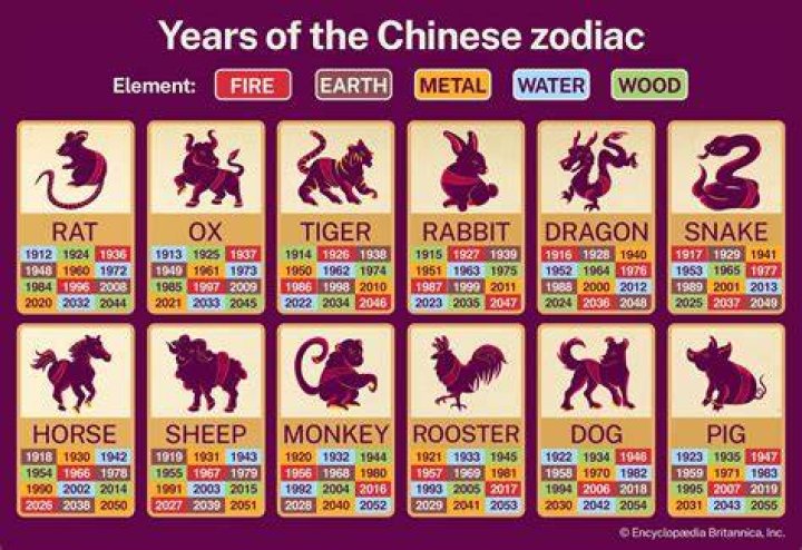 Understanding the 1991 Chinese Animal: Discover Your Zodiac Sign and Its Meaning