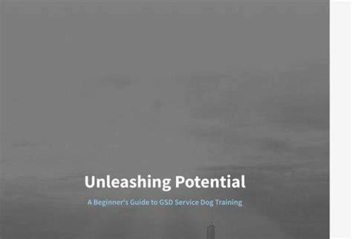 Unleashing the Power of GSD Life: A Comprehensive Guide to Achieving Extraordinary Success
