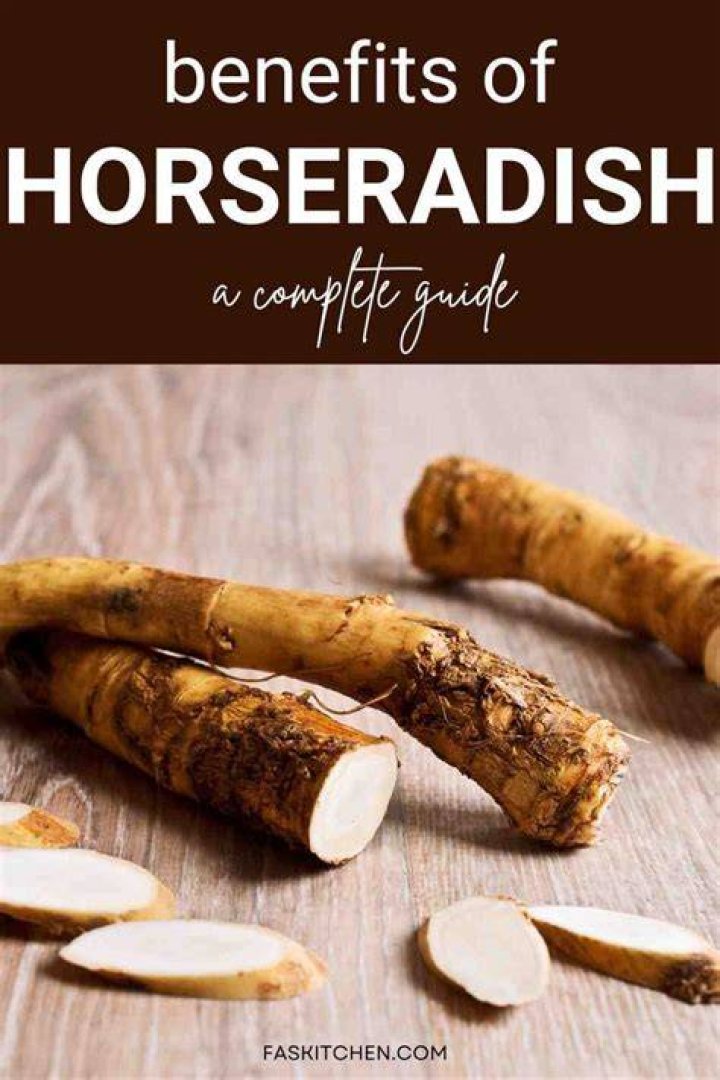 Unleashing the Power of Horseradish: A Comprehensive Guide to Its Medicinal Benefits