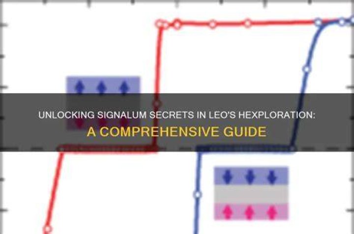 Unlocking the Secrets of Leo Dates: A Comprehensive Guide