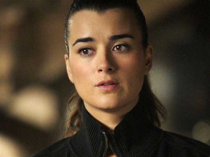 Unveiling the Allure of Ziva David Wallpaper: A Comprehensive Guide