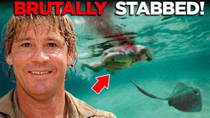 Unveiling the Truth: Steve Irwin's Death Cause