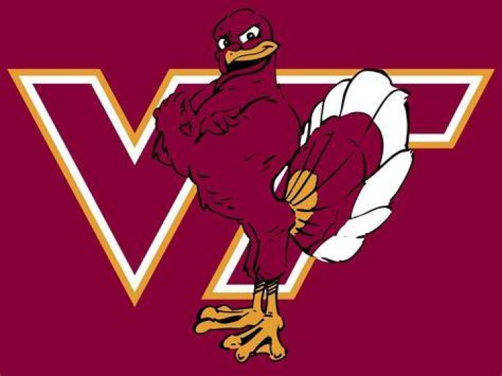 Virginia Tech Hokie Bird Logo: A Comprehensive Guide