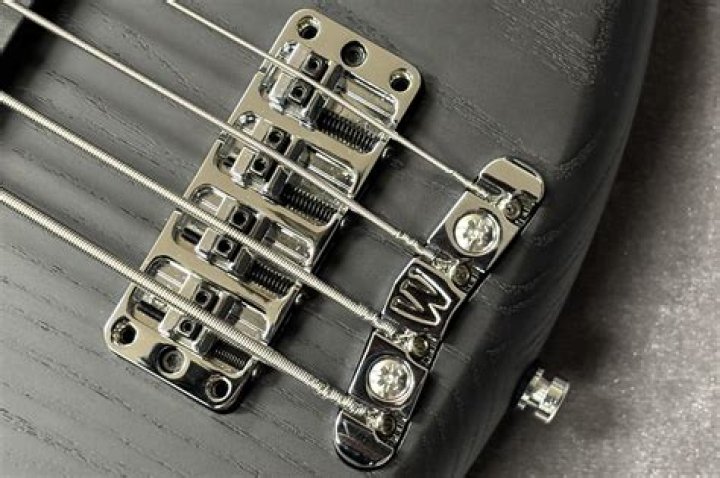 Warwick Rock Bass: The Ultimate Guide for Bassists