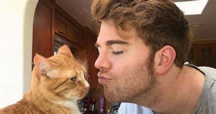 What Did Shane Dawson Do to His Cat? A Comprehensive Insight