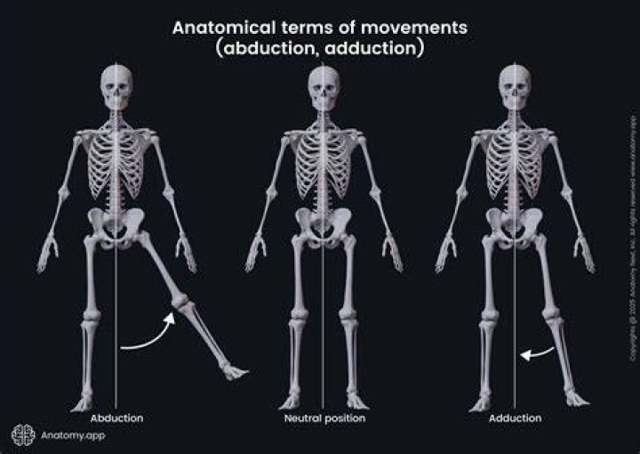 What Does Abduction Involve: A Comprehensive Guide to Understanding Abduction