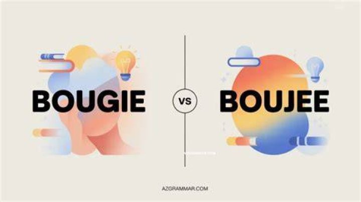 What Does Bad and Boujee Mean? A Comprehensive Guide to Understanding the Trend